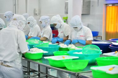 Phan Thiet, Vietnam - 11 Aralık 2014: İşçilerin kesme squids Vietnam bir deniz ürünleri fabrikasında dışa aktarmak için gerekli