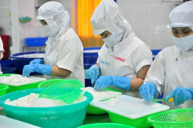 Phan Thiet, Vietnam - 11 Aralık 2014: İşçilerin kesme squids Vietnam bir deniz ürünleri fabrikasında dışa aktarmak için gerekli