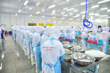 Phan Rang, Vietnam - 29 Aralık 2014: İşçi peeling ve Vietnam bir deniz ürünleri fabrikasında taze çiğ karides işleme