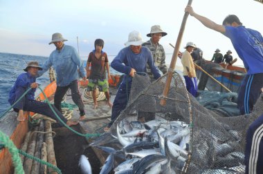 Nha Trang, Vietnam - 5 Mayıs 2012: Balıkçı orkinos sürütme ağları Nha Trang defne deniz tarafından yakalanan balık topluyorlar