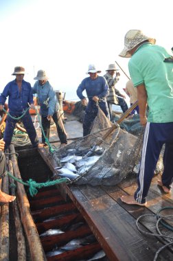 Nha Trang, Vietnam - 5 Mayıs 2012: Balıkçı orkinos sürütme ağları Nha Trang defne deniz tarafından yakalanan balık topluyorlar