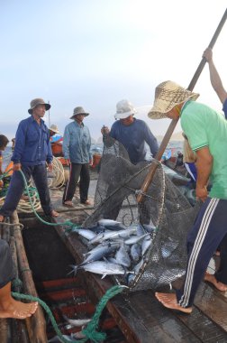 Nha Trang, Vietnam - 5 Mayıs 2012: Balıkçı orkinos sürütme ağları Nha Trang defne deniz tarafından yakalanan balık topluyorlar