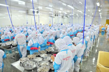 Phan Rang, Vietnam - 29 Aralık 2014: İşçi peeling ve Vietnam bir deniz ürünleri fabrikasında taze çiğ karides işleme