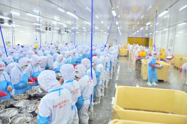 Phan Rang, Vietnam - 29 Aralık 2014: İşçi peeling ve Vietnam bir deniz ürünleri fabrikasında taze çiğ karides işleme