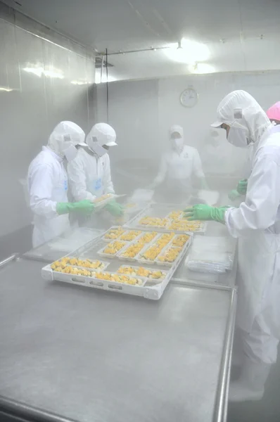 Ho Chi Minh city, Vietnam - October 3, 2011: Workers are working hard in a cold environment in a seafood factory in Ho Chi Minh city, Vietnam — Stock Photo, Image