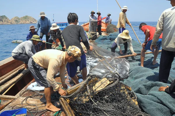 Nha Trang, Vietnam - 5 Mayıs 2012: Balıkçı orkinos sürütme ağları Nha Trang defne deniz tarafından yakalanan balık topluyorlar