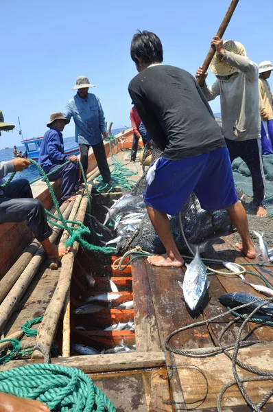 Nha Trang, Vietnam - 5 Mayıs 2012: Balıkçı orkinos sürütme ağları Nha Trang defne deniz tarafından yakalanan balık topluyorlar