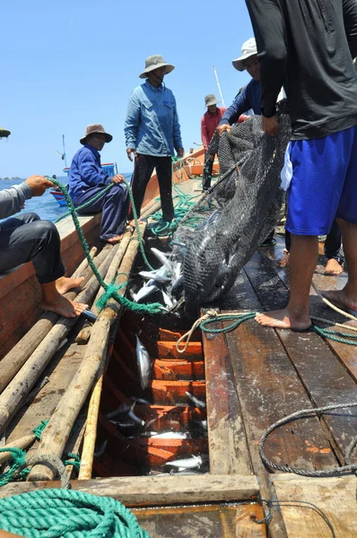 Nha Trang, Vietnã - 5 de maio de 2012: Pescadores estão coletando atum capturado por redes de arrasto no mar da baía de Nha Trang — Fotografia de Stock