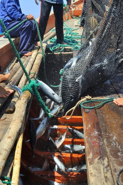 Nha Trang, Vietnam - May 5, 2012: Fishermen are collecting tuna fish caught by trawl nets in the sea of the Nha Trang bay — Stock Photo, Image