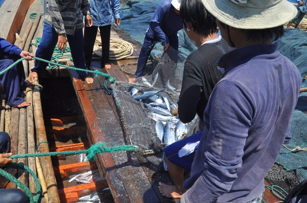 Nha Trang, Vietnam - 5 Mayıs 2012: Balıkçı orkinos sürütme ağları Nha Trang defne deniz tarafından yakalanan balık topluyorlar