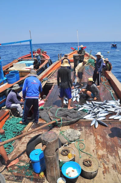 Nha Trang, Vietnam - May 5, 2012: Fishermen are collecting tuna fish caught by trawl nets in the sea of the Nha Trang bay — Stock Photo, Image