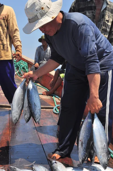 Nha Trang, Vietnam - 5 Mei 2012: Nelayan mengumpulkan ikan tuna yang ditangkap oleh jaring trawl di laut Teluk Nha Trang — Stok Foto