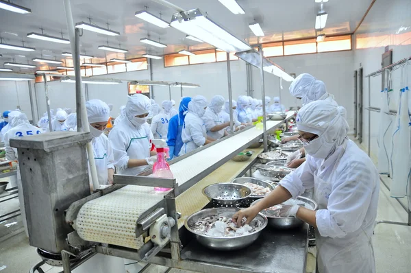 Vung Tau, Vietnam - 9 de diciembre de 2014: Los trabajadores clasifican el pulpo para exportar en una fábrica de procesamiento de mariscos —  Fotos de Stock