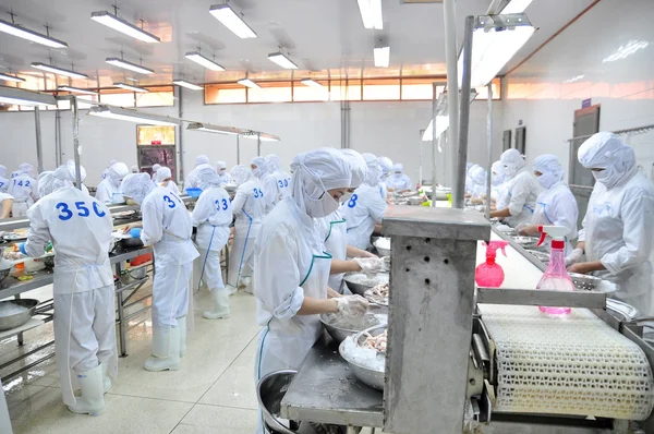 Vung Tau, Vietnam - 9. prosince 2014: Zaměstnanci jsou klasifikování chobotnice pro export v továrně na zpracování mořských plodů — Stock fotografie