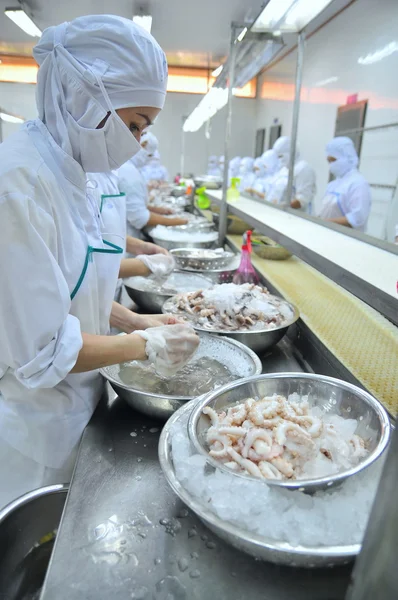 Vung tau, Vietnam - 9. Dezember 2014: Arbeiter klassifizieren Kraken für den Export in einer Fabrik für die Verarbeitung von Meeresfrüchten — Stockfoto