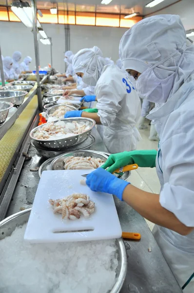 Vung Tau, Vietnam - 9 dicembre 2014: I lavoratori tagliano polpo per l'esportazione in una fabbrica di trasformazione dei prodotti ittici — Foto Stock