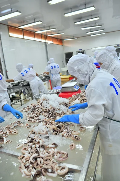 Vung Tau, Vietnam - den 9 December 2014: Arbetstagare klassificera bläckfisk för export i ett skaldjur fabriken — Stockfoto