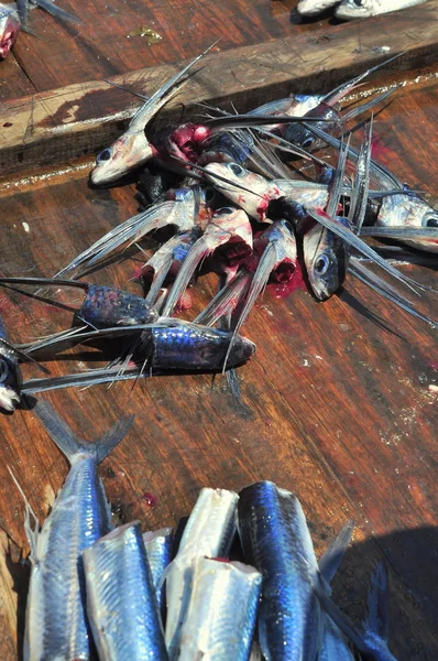 Nha Trang, Vietnã - 5 de maio de 2012: Peixe voador está sendo cabeça e intestino fora para o almoço em um barco de pesca no mar de Nha Trang Bay — Fotografia de Stock