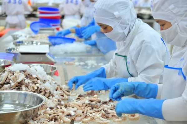 Vung Tau, Vietnam - 9 de diciembre de 2014: Los trabajadores clasifican el pulpo para exportar en una fábrica de procesamiento de mariscos — Foto de Stock