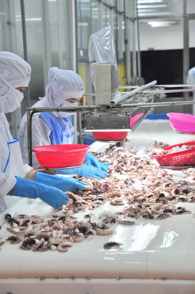 Vung Tau, Vietnam - December 9, 2014: Werknemers zijn het classificeren van octopus voor exporteren in een fabriek seafood processing — Stockfoto