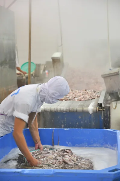 Vung tau, Vietnam - 9. Dezember 2014: Ein Arbeiter kocht Oktopus, bevor er in eine Fischfabrik zum Exportprozess übergeht — Stockfoto