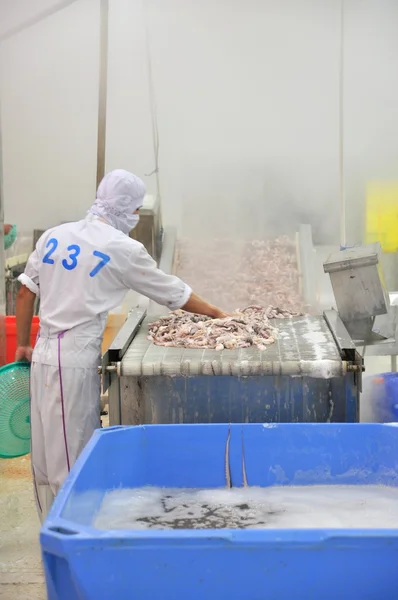 Vung Tau, Vietnam - den 9 December 2014: En arbetstagare kokar bläckfisk innan du överför till processen för att exportera i en skaldjur fabrik — Stockfoto