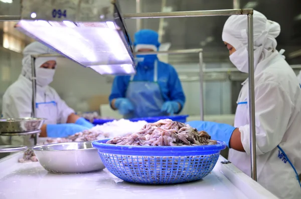 Vung Tau, Vietnam - 9. prosince 2014: Zaměstnanci jsou klasifikování chobotnice pro export v továrně na zpracování mořských plodů — Stock fotografie