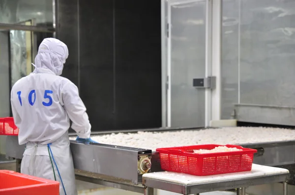 Vung Tau, Vietnam - 9 de diciembre de 2014: Los trabajadores clasifican el pulpo para exportar en una fábrica de procesamiento de mariscos —  Fotos de Stock