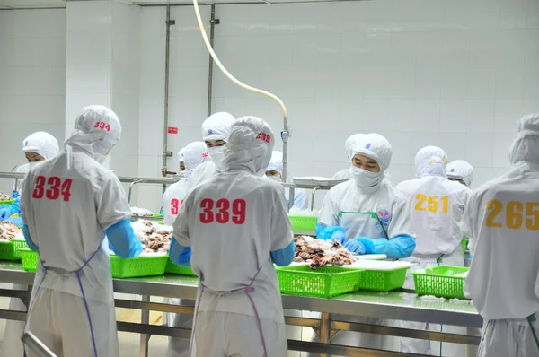 Vung Tau, Vietnam - 9 Aralık 2014: İşçiler bir deniz ürünleri işleme fabrikasında dışa aktarmak için ahtapot.... .ayakkabının önemli olduğu