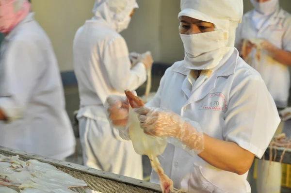 Phan Thiet, Vietnam - 11 dicembre 2014: I lavoratori stanno sbucciando calamari secchi per l'esportazione in una fabbrica di frutti di mare in Vietnam — Foto Stock