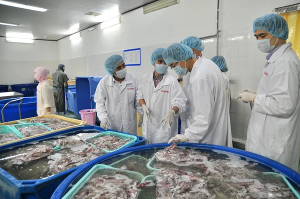 Phan Thiet, Vietnam - 11 Aralık 2014: Yabancı alıcılar visitting Vietnam Merkez deniz ürünleri fabrikasında çoğu