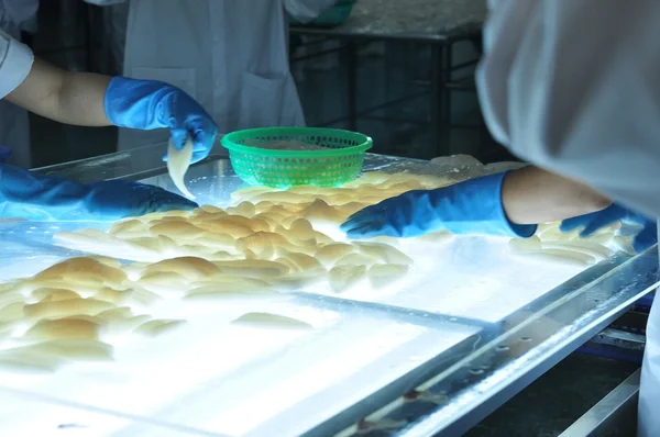 Phan Thiet, Vietnam - December 11, 2014:  Workers are testing the color of squids for exporting in a seafood factory in Vietnam — Stock Photo, Image