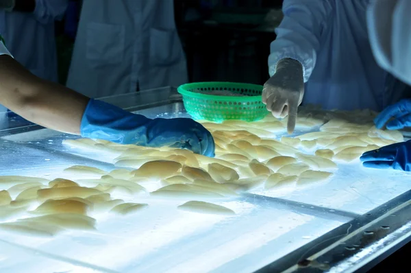 Phan Thiet, Vietnam - December 11, 2014:  Workers are testing the color of squids for exporting in a seafood factory in Vietnam — Stock Photo, Image