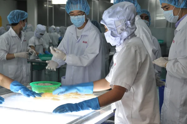 Phan Thiet, Vietnam - December 11, 2014:  Workers are testing the color of squids for exporting in a seafood factory in Vietnam — Stock Photo, Image