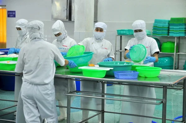 越南: 2014年12月11日: 工人们正在越南的一家海鲜工厂切割出口鱿鱼 — 图库照片