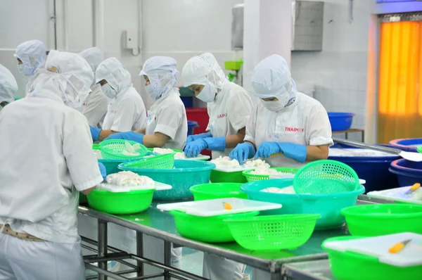 Phan Thiet, Vietnam - 11 December 2014: Werknemers zijn snijden inktvis voor exporteren in een zeevruchten fabriek in Vietnam — Stockfoto