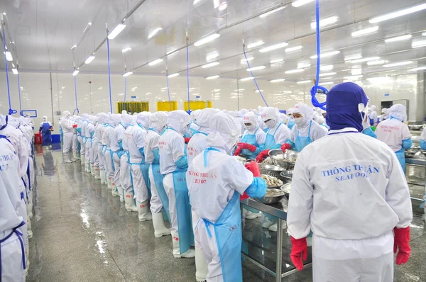 Phan Rang, Vietnam - 29 Aralık 2014: İşçi peeling ve Vietnam bir deniz ürünleri fabrikasında taze çiğ karides işleme