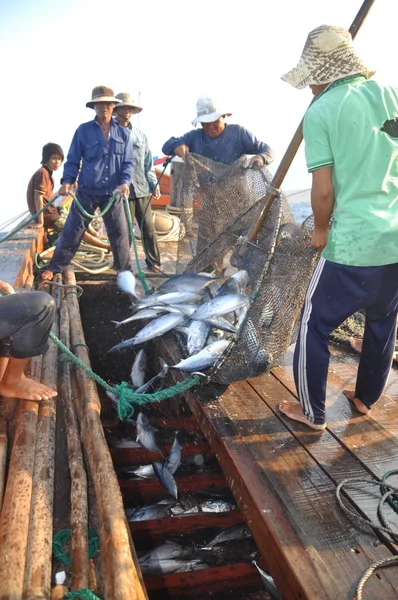 Nha Trang, Vietnam - 5 Mayıs 2012: Balıkçı orkinos sürütme ağları Nha Trang defne deniz tarafından yakalanan balık topluyorlar