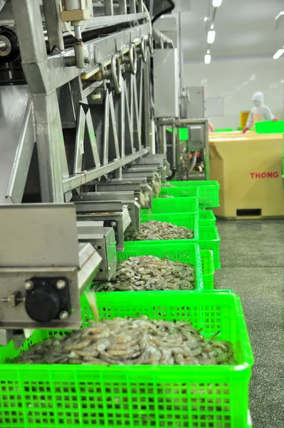 Phan Rang, Vietnam - December 29, 2014: Shrimps are peeled and sized by machine for exporting in a seafood factory in Vietnam — Stock Photo, Image