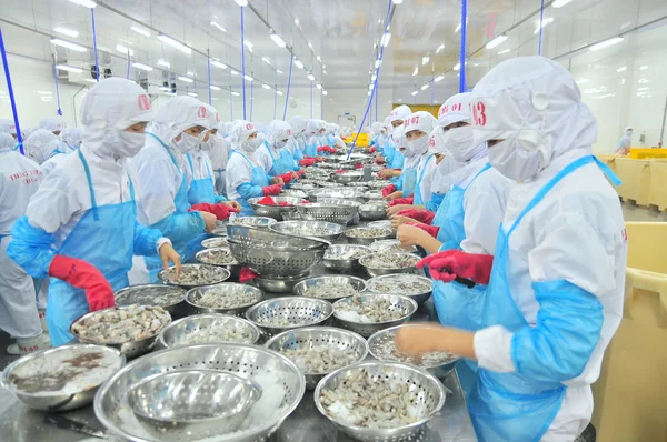 Phan Rang, Vietnam - 29 December 2014: Arbetstagare är peeling och bearbetning av färska råa räkor i en skaldjur fabrik i Vietnam — Stockfoto