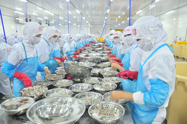 Phan Rang, Vietnam - 29 Aralık 2014: İşçi peeling ve Vietnam bir deniz ürünleri fabrikasında taze çiğ karides işleme