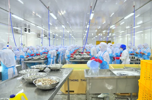 Phan rang, Vietnam - 29. Dezember 2014: Arbeiter schälen und verarbeiten frische rohe Garnelen in einer Fischfabrik in Vietnam — Stockfoto