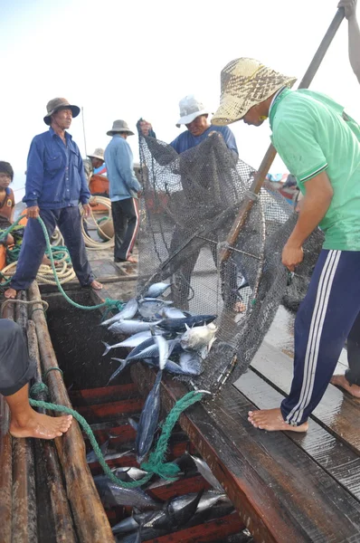 Nha Trang, Vietnã - 5 de maio de 2012: Pescadores estão coletando atum capturado por redes de arrasto no mar da baía de Nha Trang — Fotografia de Stock