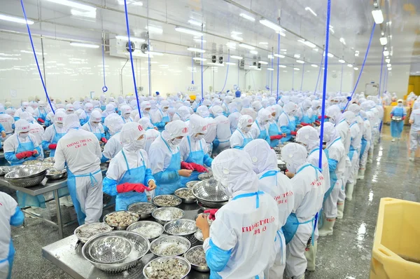 Phan Rang, Vietnam - 29 Aralık 2014: İşçi peeling ve Vietnam bir deniz ürünleri fabrikasında taze çiğ karides işleme