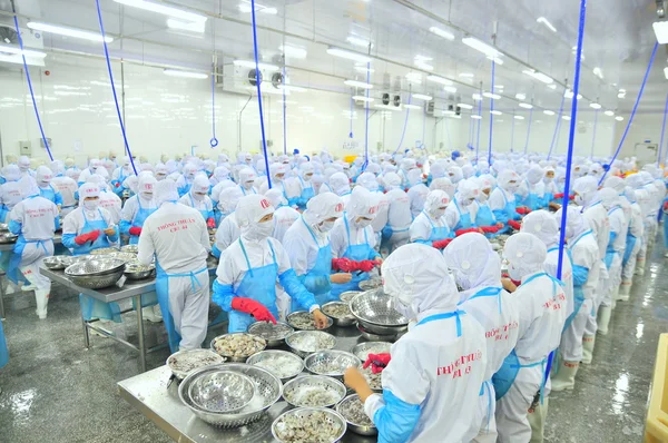 Phan Rang, Vietnam - 29 Aralık 2014: İşçi peeling ve Vietnam bir deniz ürünleri fabrikasında taze çiğ karides işleme