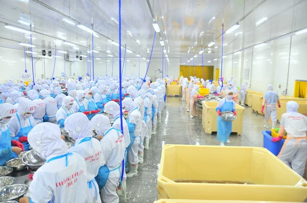 Phan Rang, Vietnam - 29 Aralık 2014: İşçi peeling ve Vietnam bir deniz ürünleri fabrikasında taze çiğ karides işleme
