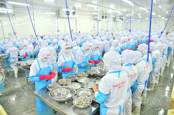 Phan Rang, Vietnam - 29 de diciembre de 2014: Los trabajadores están pelando y procesando camarones crudos frescos en una fábrica de mariscos en Vietnam — Foto de Stock