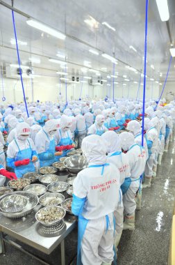 Phan Rang, Vietnam - 29 Aralık 2014: İşçi peeling ve Vietnam bir deniz ürünleri fabrikasında taze çiğ karides işleme
