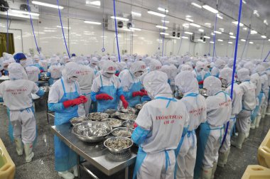 Phan Rang, Vietnam - 29 Aralık 2014: İşçi peeling ve Vietnam bir deniz ürünleri fabrikasında taze çiğ karides işleme