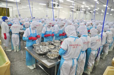 Phan Rang, Vietnam - 29 Aralık 2014: İşçi peeling ve Vietnam bir deniz ürünleri fabrikasında taze çiğ karides işleme